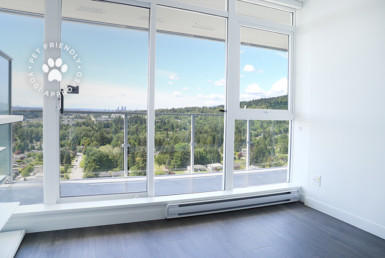 Living Room in Burquitlam